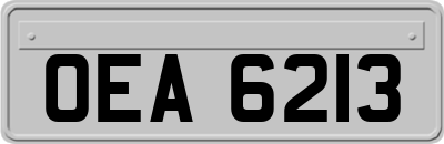 OEA6213