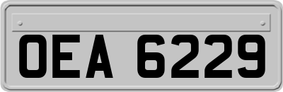 OEA6229