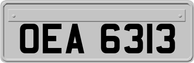 OEA6313