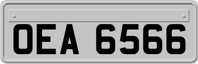 OEA6566