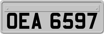 OEA6597