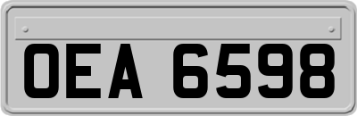 OEA6598