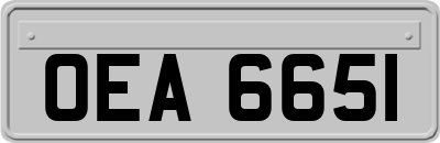 OEA6651