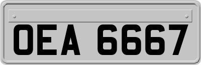 OEA6667