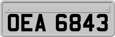 OEA6843