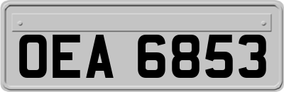 OEA6853