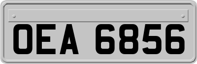 OEA6856
