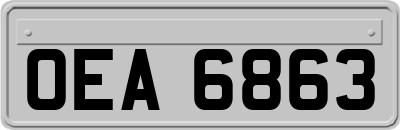 OEA6863