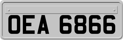 OEA6866