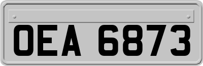 OEA6873