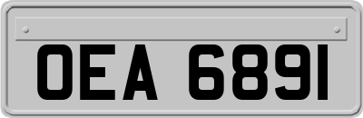 OEA6891