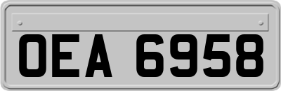 OEA6958