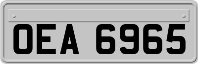 OEA6965