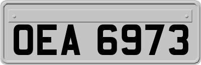 OEA6973
