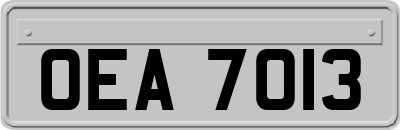 OEA7013