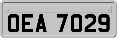OEA7029