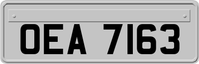 OEA7163