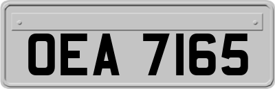 OEA7165