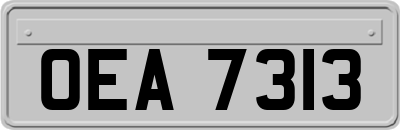 OEA7313