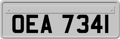 OEA7341