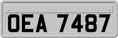 OEA7487