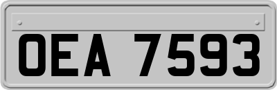 OEA7593