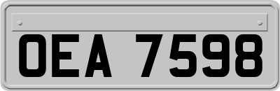OEA7598