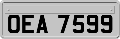 OEA7599