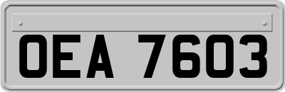 OEA7603