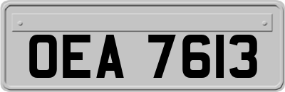 OEA7613