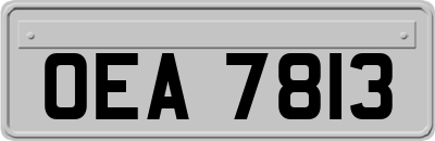 OEA7813
