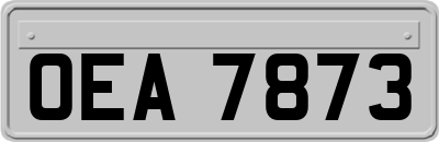 OEA7873
