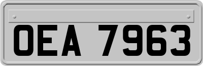 OEA7963