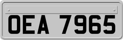 OEA7965