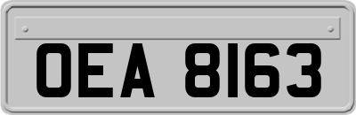 OEA8163