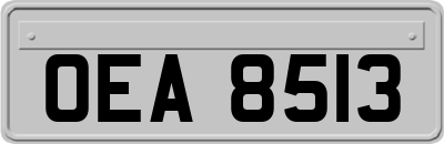 OEA8513