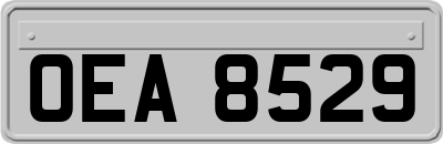 OEA8529