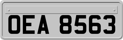 OEA8563