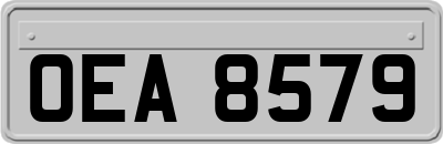OEA8579