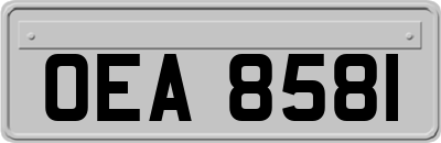 OEA8581