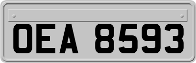 OEA8593