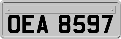 OEA8597