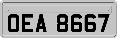 OEA8667