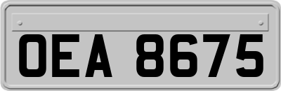 OEA8675