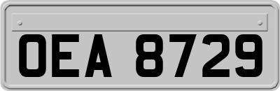 OEA8729