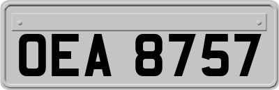 OEA8757