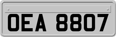OEA8807