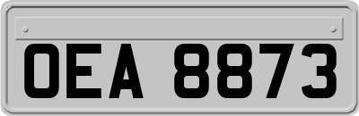 OEA8873