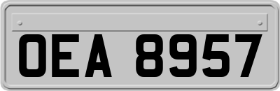 OEA8957