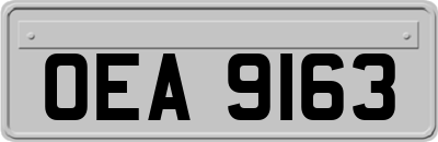 OEA9163